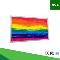 VM15B4 V0-15.6 inch WXGA 300 nits